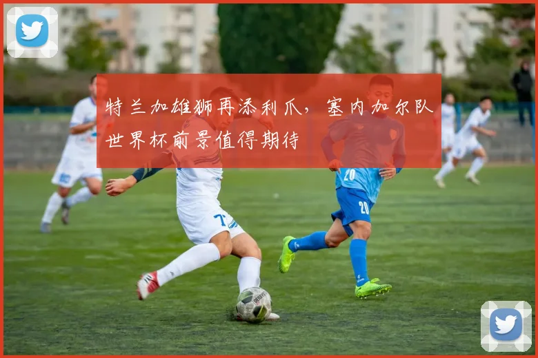 特兰加雄狮再添利爪，塞内加尔队世界杯前景值得期待