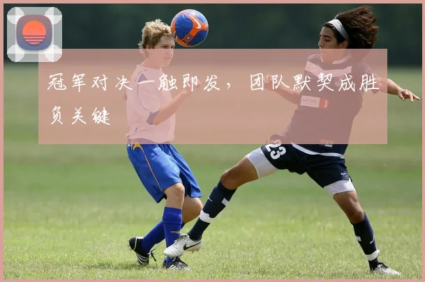冠军对决一触即发，团队默契成胜负关键