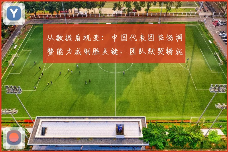 从数据看蜕变：中国代表团临场调整能力成制胜关键，团队默契铸就突破