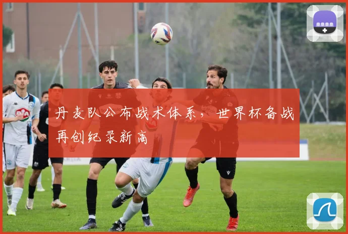 丹麦队公布战术体系，世界杯备战再创纪录新高
