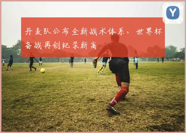 丹麦队公布全新战术体系，世界杯备战再创纪录新高